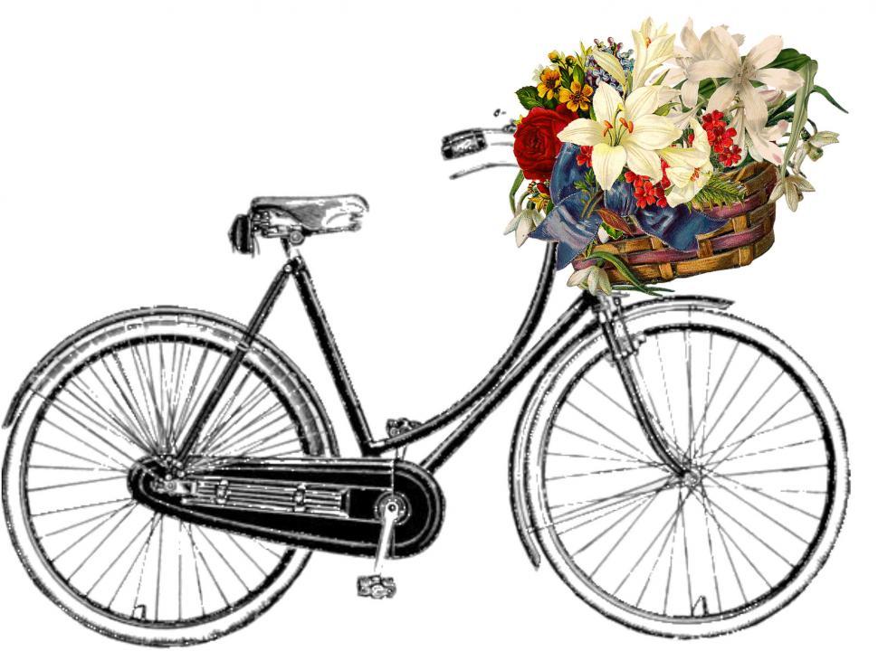 Free Image of Bicycle With a Basket Full of Flowers 