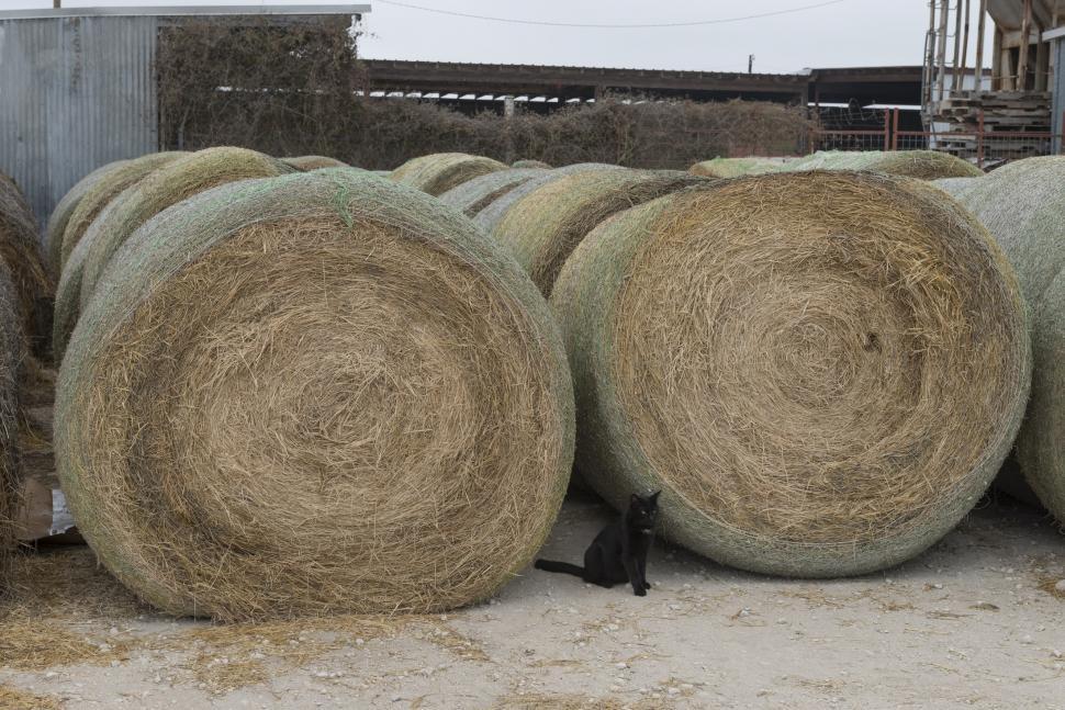 Free Image of Hay Pile Next to Building 