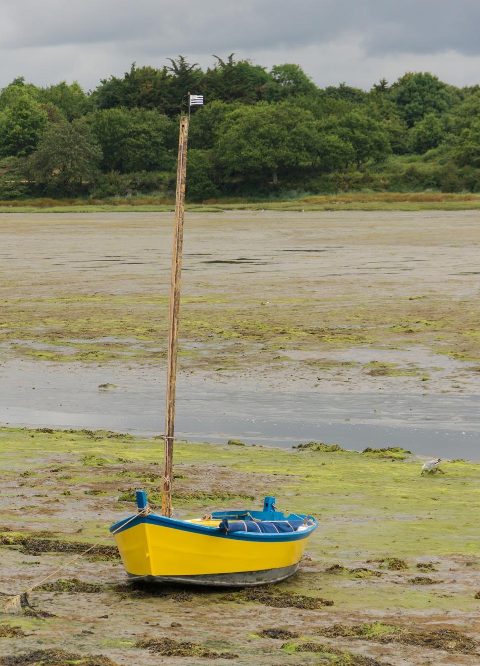 Free Image of Yellow and Blue Boat on Muddy Beach 