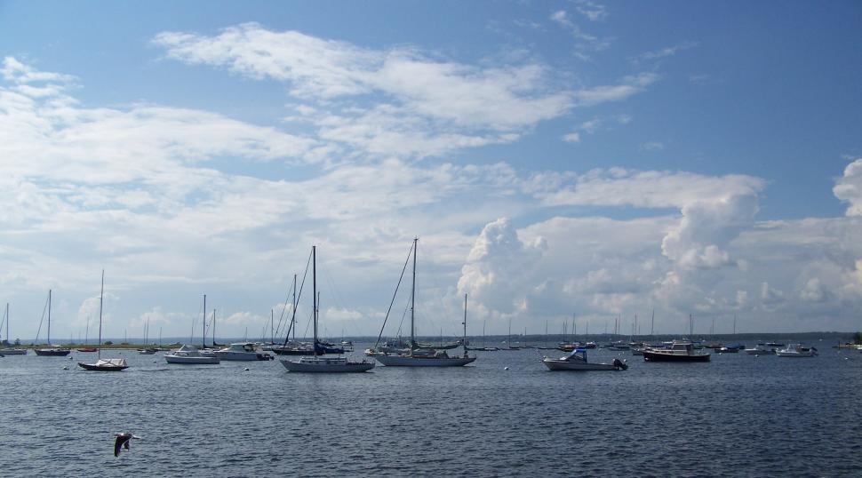 Free Image of A Busy Harbor Filled With Numerous Boats 