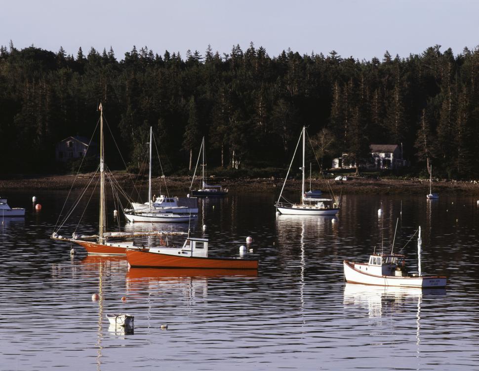 Free Image of Group of Boats Floating on Top of a Lake 