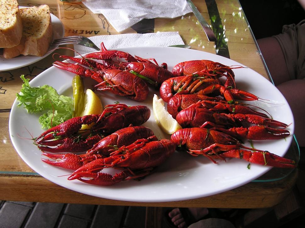 Free Image of White Plate Topped With Cooked Red Lobsters 