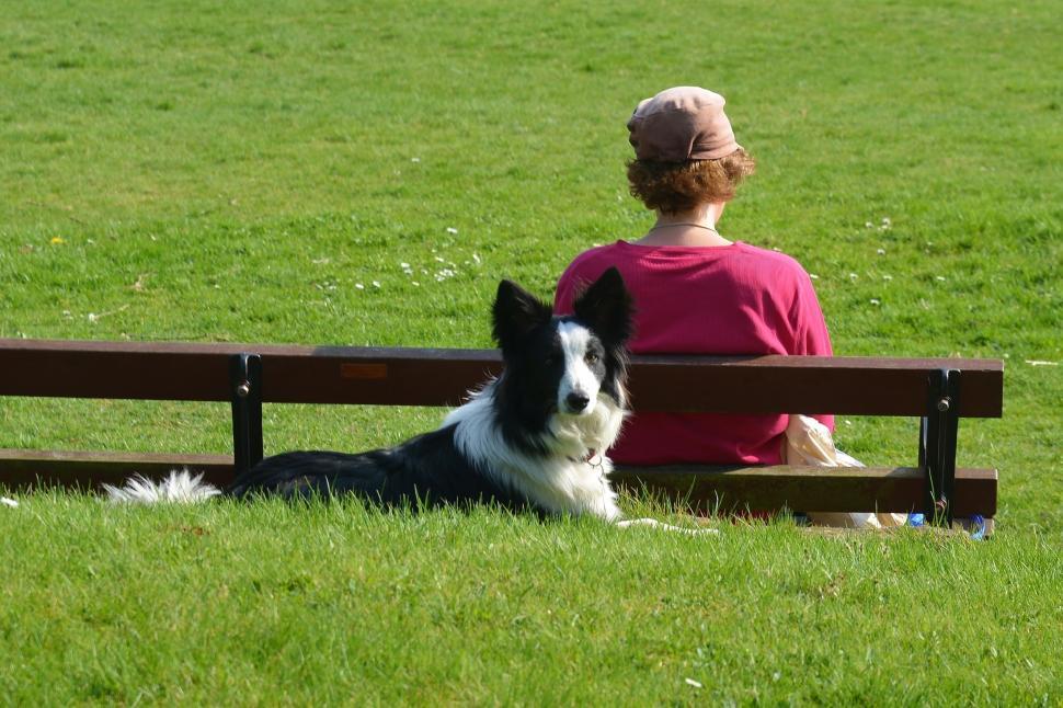 Free Image of Woman Sitting on Bench Next to Dog 