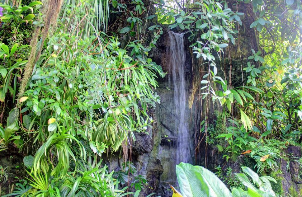 Free Image of Waterfall in the Heart of a Verdant Forest 