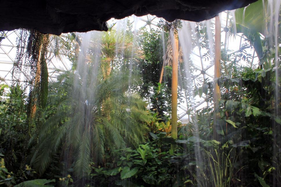 Free Image of Inside of a Greenhouse With Waterfall 