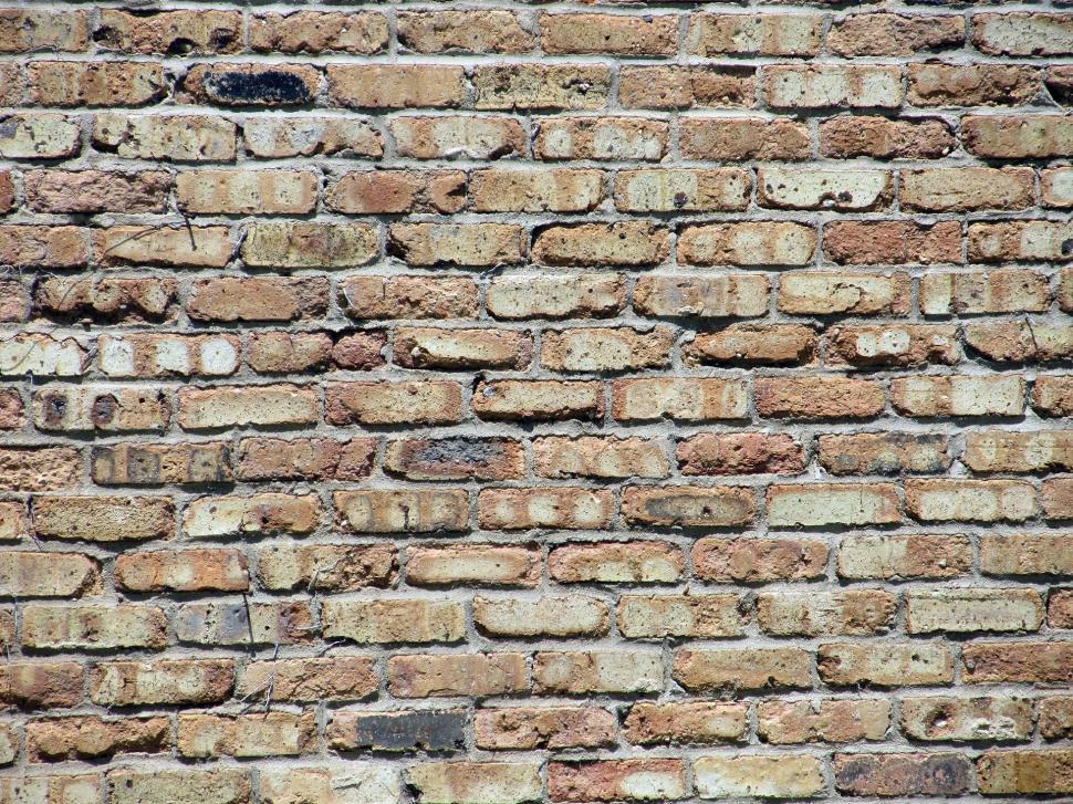 Free Image of Close Up of a Brick Wall With Bricks 