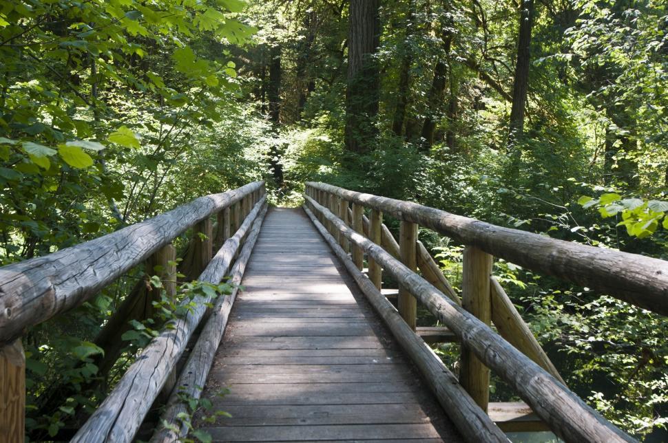 Free Image of Wooden Bridge in the Middle of a Forest 