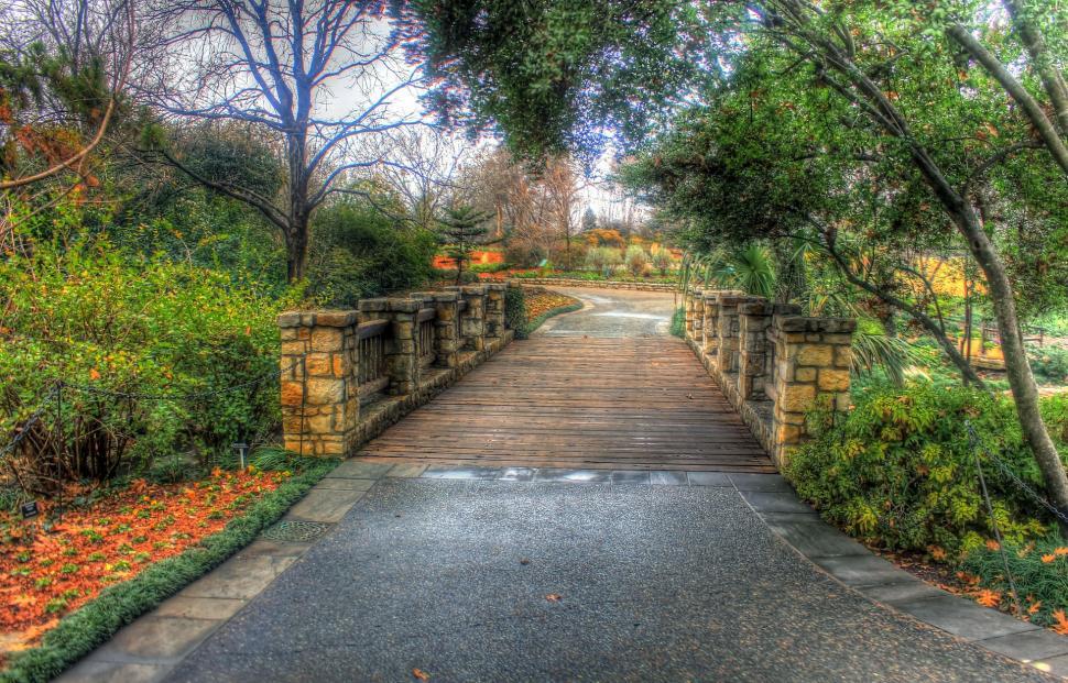 Free Image of Pathway Leading to Park With Trees and Flowers 