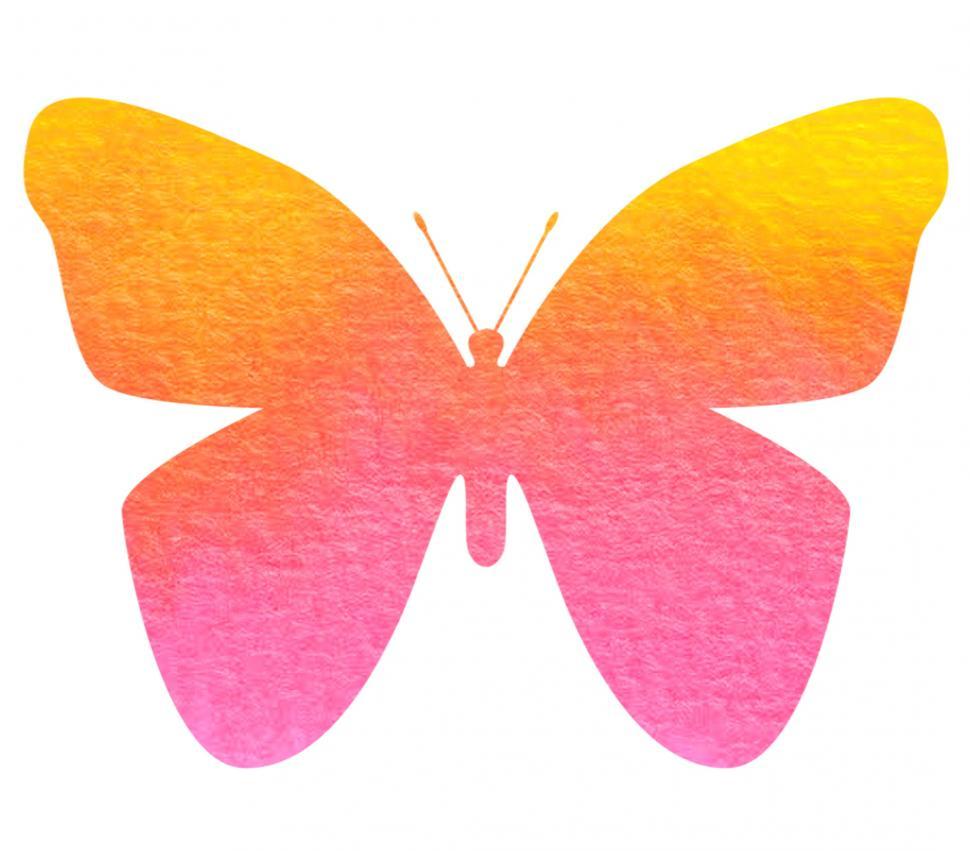 Free Image of Pink and Yellow Butterfly on White Background 