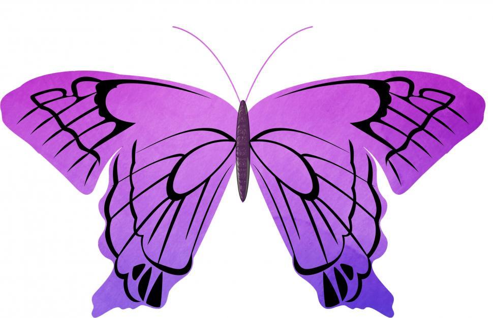 Free Image of Purple Butterfly on White Background 
