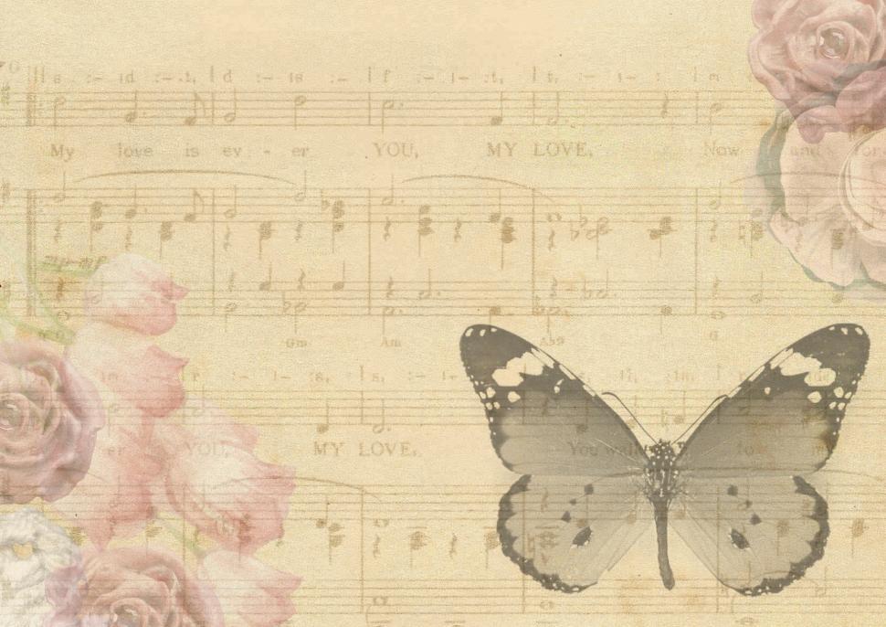Free Image of Butterfly Perched on Sheet of Music 