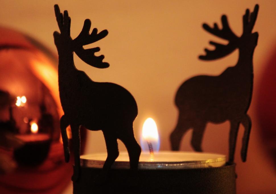 Free Image of Close Up of a Moose-Shaped Candle on a Cake 