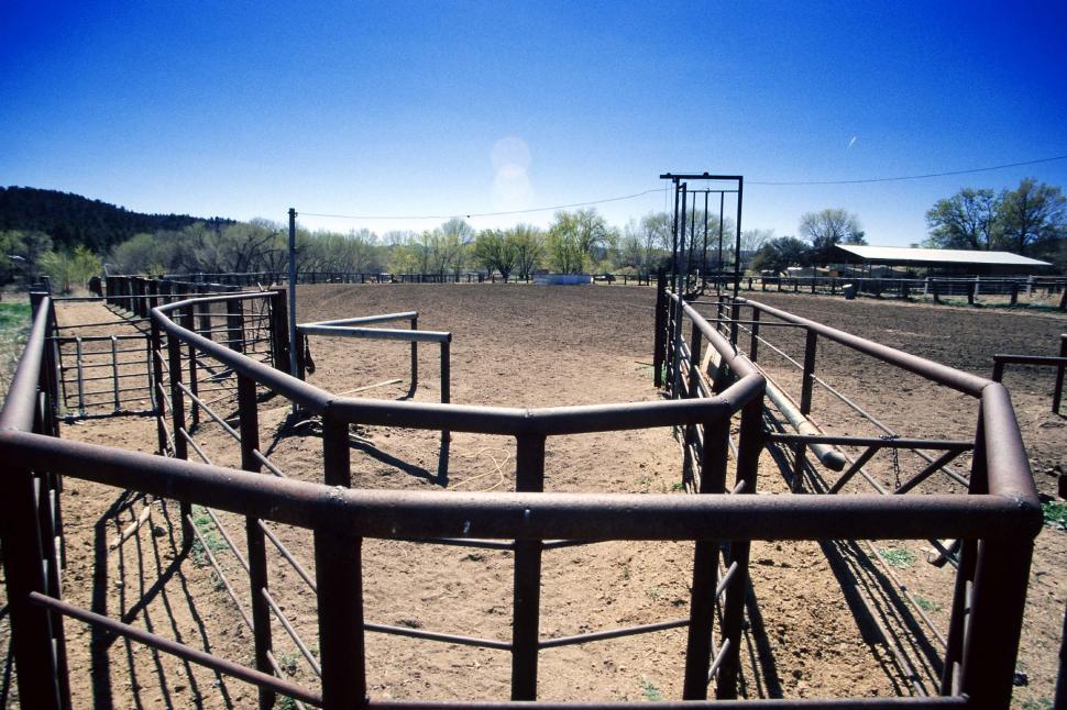 Free Image of corral pipes fences chute horses cattle cows ranch stable rodeo livestock 