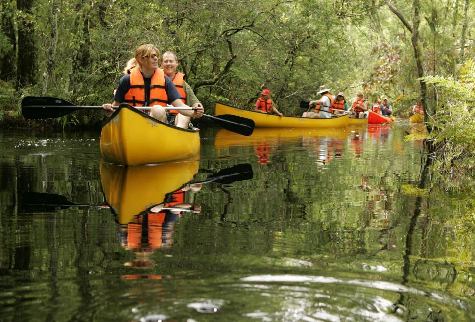 Free Image of canoe kayak small boat boat vessel paddle float water oar sea travel beach 