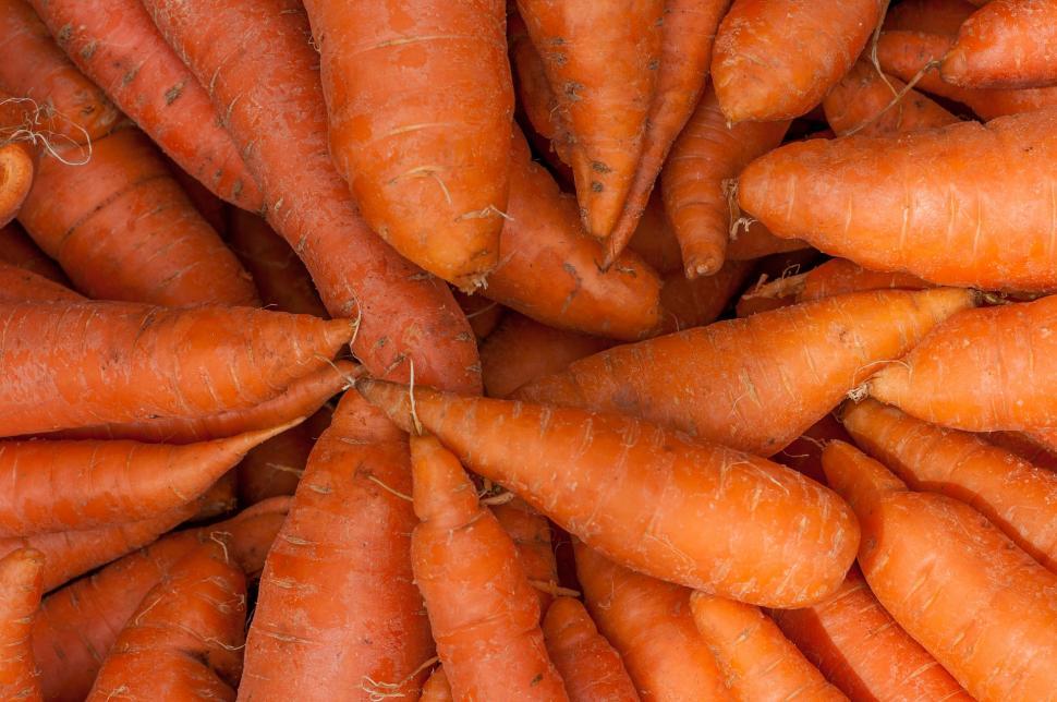 Free Image of Stacked Carrots in a Pile 