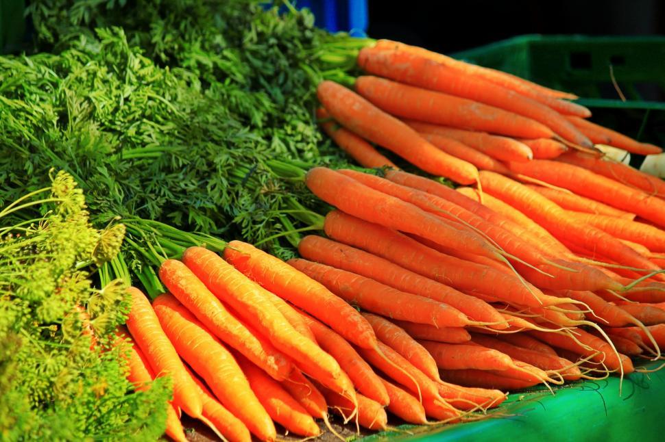 Free Image of A Pile of Carrots on a Green Table 