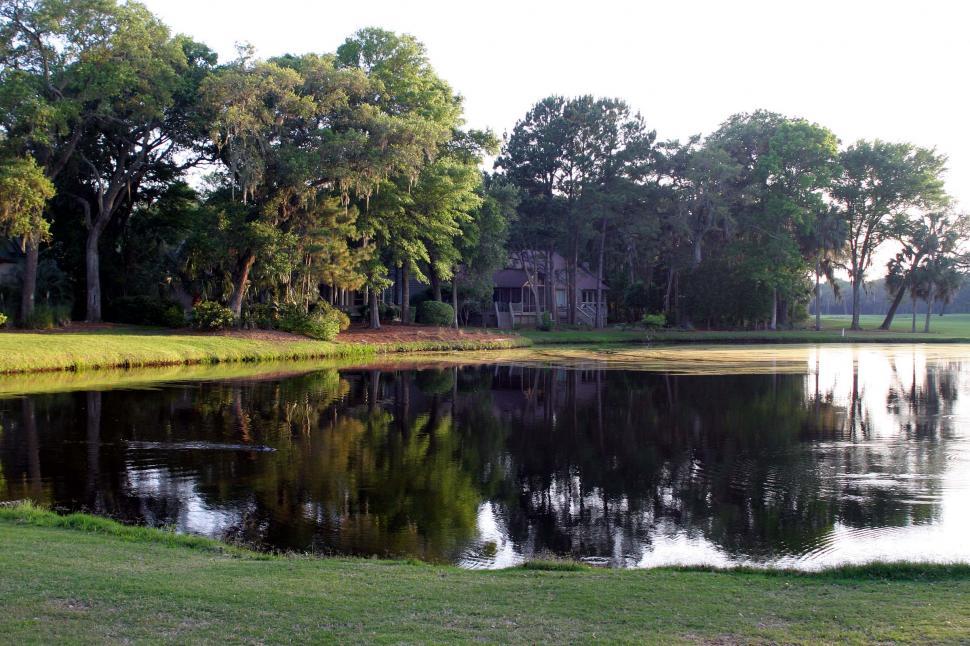 Free Image of pond lake house trees golf course golf course reflections retreat private alligator kiawah 