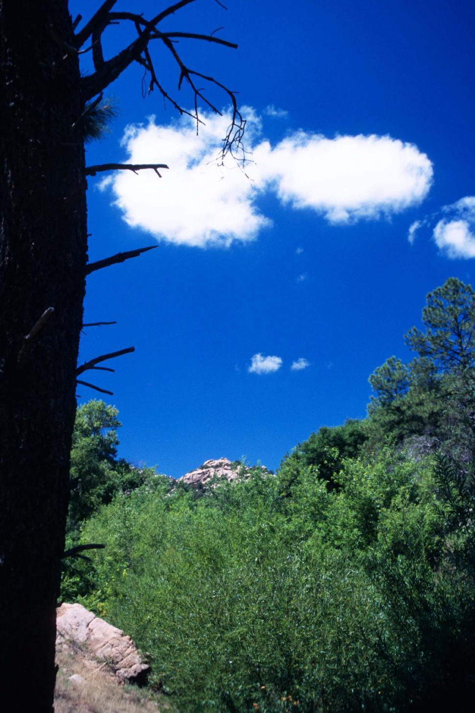 Free Image of prescott national forest mountains pines trees silhouette clouds 
