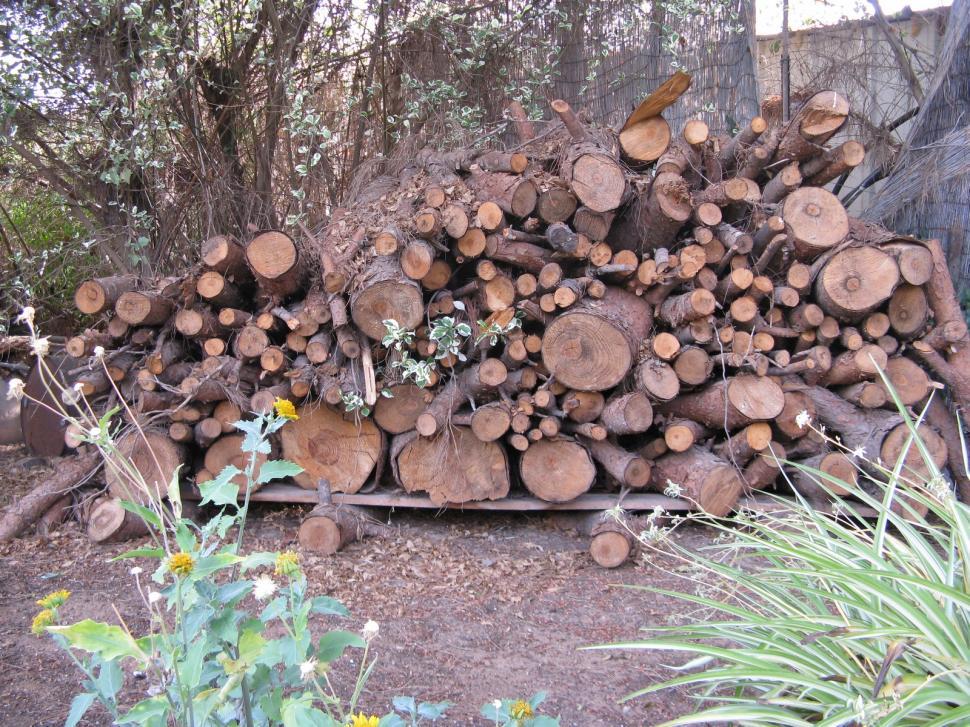 Free Image of Pile of chopped wood 