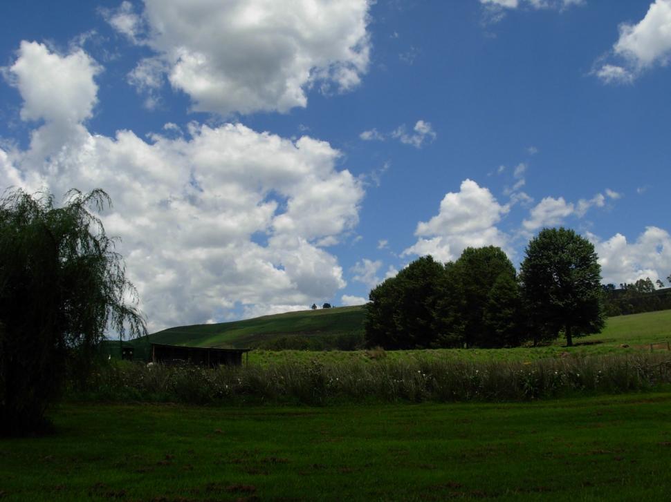 Free Image of Clouds & Field 