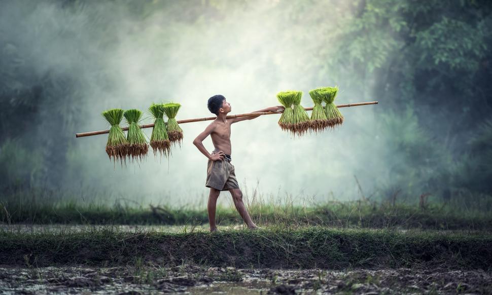 Free Image of Man Holding Long Stick With Green Plants 