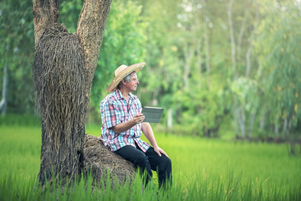 Free Image of Man Sitting on Top of Tree in Field 