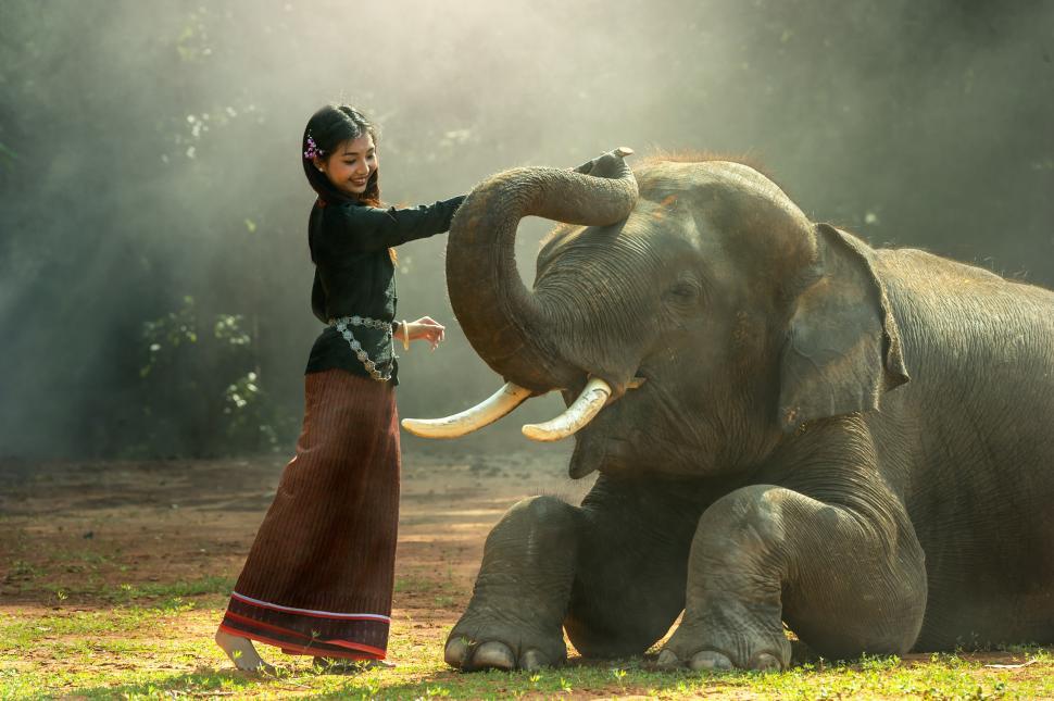 Free Image of Woman Standing Beside Elephant in Field 