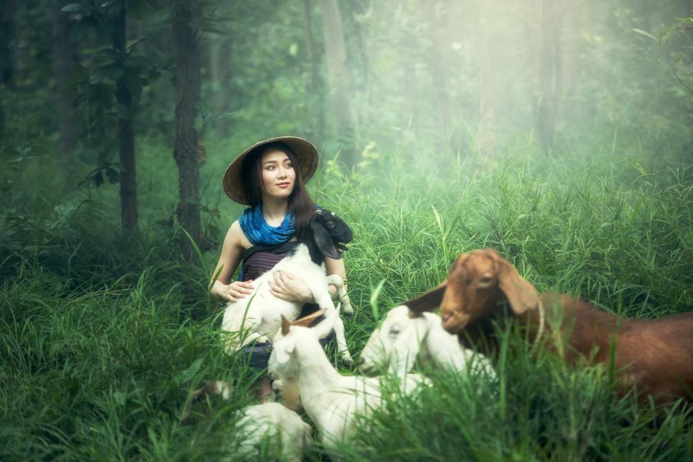 Free Image of Woman Sitting in Grass With Two Dogs 