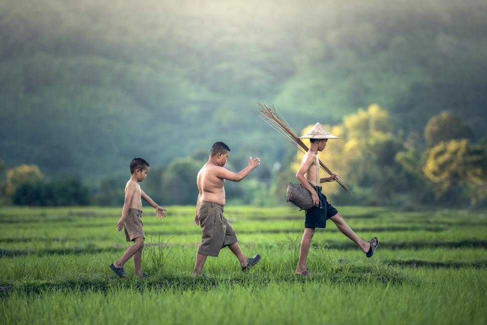 Free Image of Group of Young Boys Walking Across Lush Green Field 