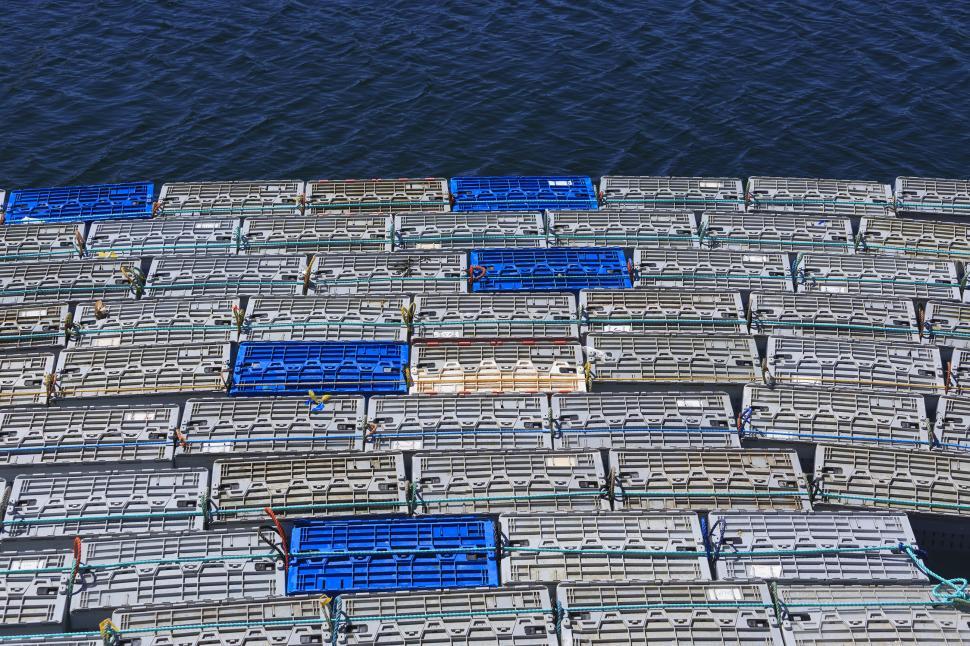 Download Free Stock Photo of lobster storage 
