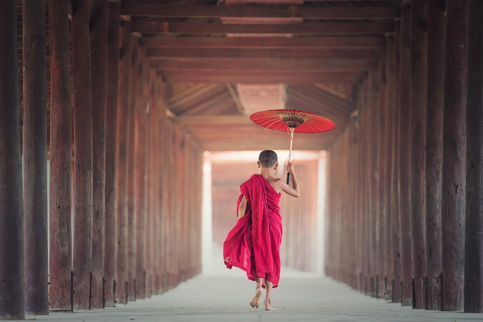 Free Image of Little Monk with Umbrella 