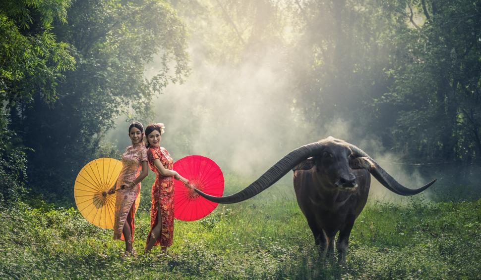 Free Image of Two Girls with Buffalo 