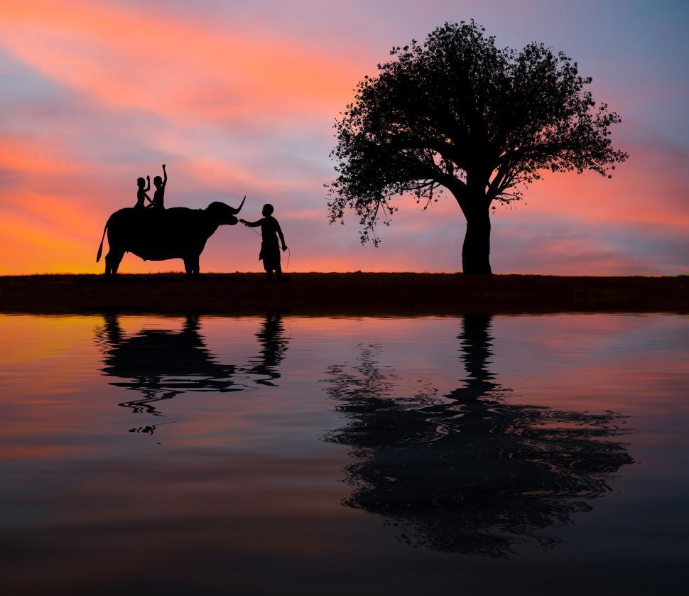 Free Image of Couple Standing Next to Elephant 