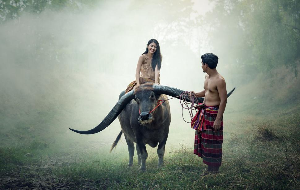 Free Image of Man and Woman Standing Next to Buffalo 