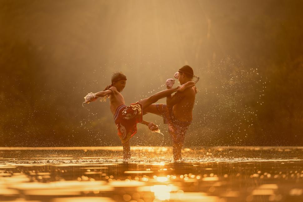 Free Image of Boxing in the Pond 