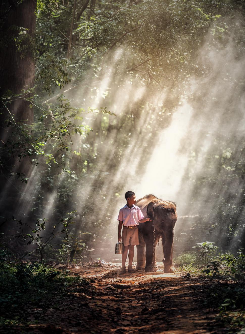 Free Image of Kid with Elephant 