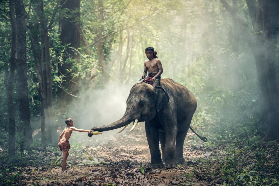 Free Image of Kid and the Elephant Rider 
