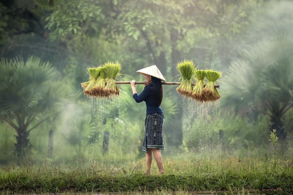 Free Image of Woman Holding Two Bundles of Grass 