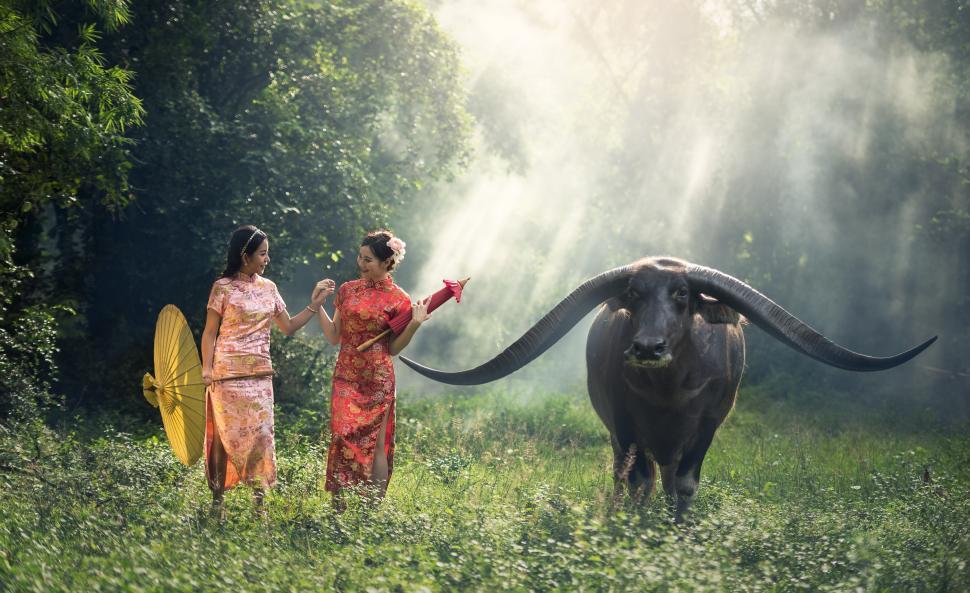 Free Image of Women Standing Next to Bull in Field 