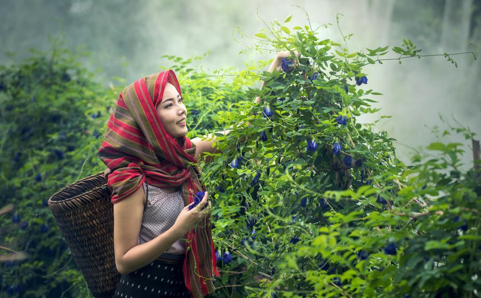 Free Image of Woman Holding Basket in Forest 