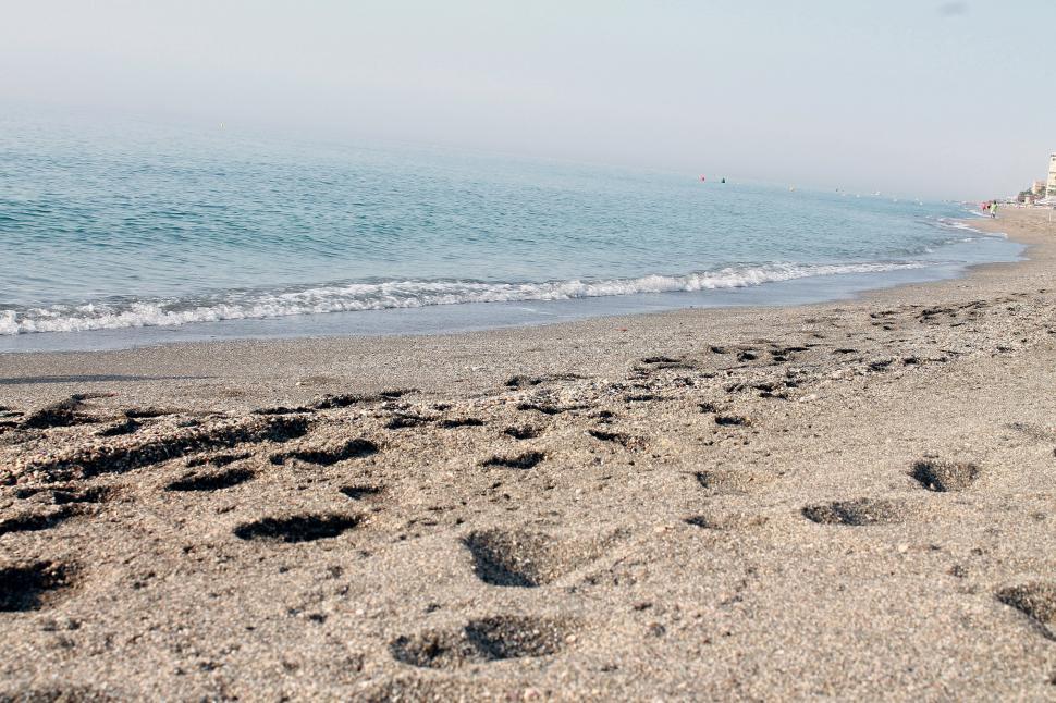 Free Image of Footprints on Beach Near Ocean 