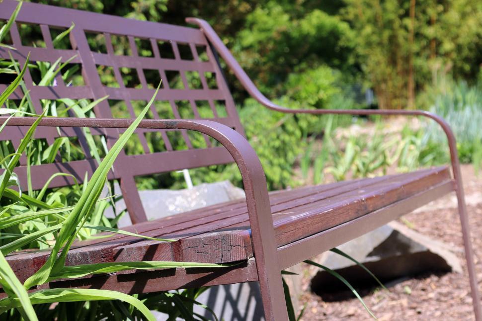 Free Image of Close Up of Bench With Plants in Background 
