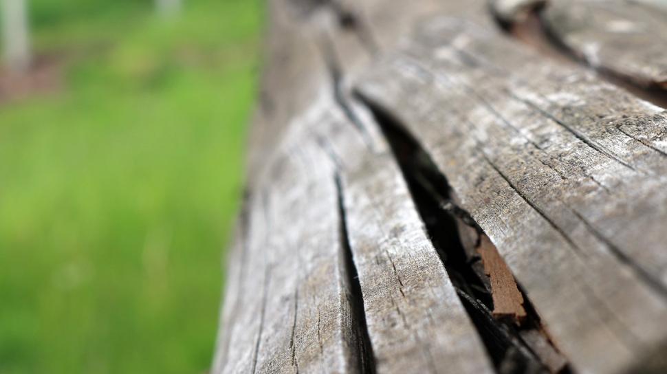 Free Image of Close Up of Wooden Bench With Grass in Background 