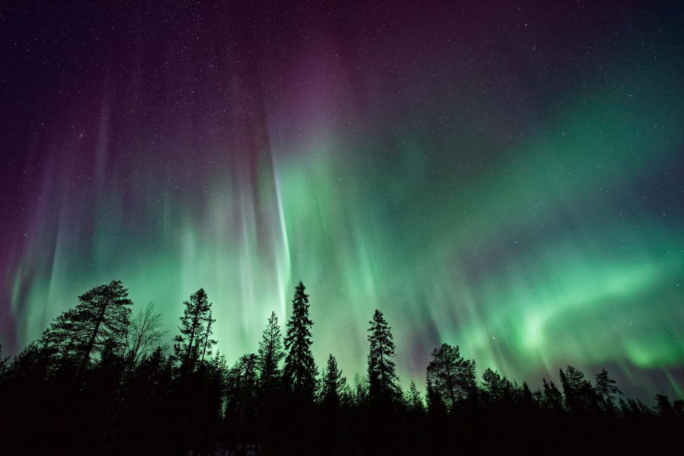 Free Image of Green and Purple Aurora Bore in the Night Sky 