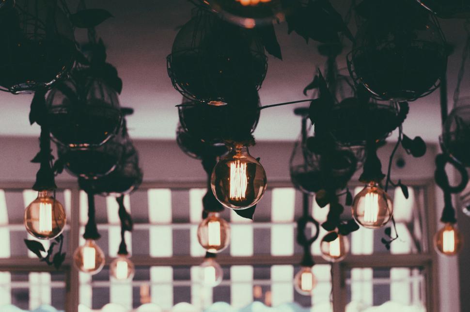 Free Image of Cluster of Light Bulbs Hanging From Ceiling 