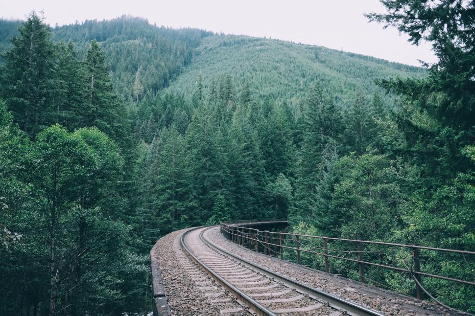 Free Image of Train Track Through Forest 