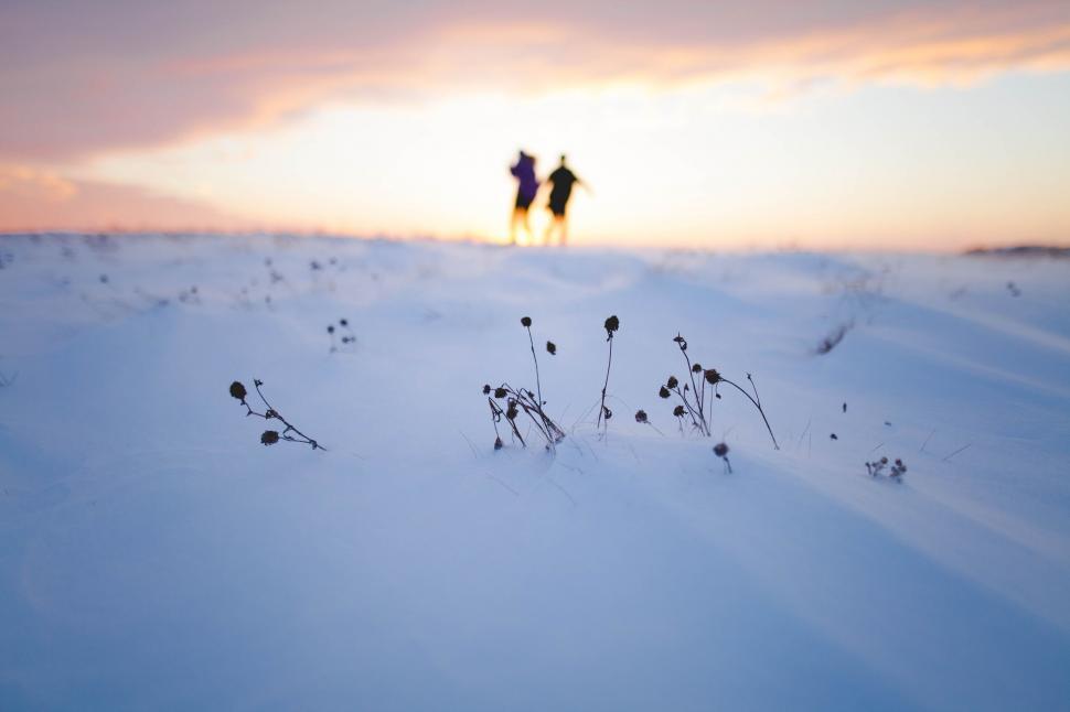Free Image of People Standing on Snow Covered Slope 