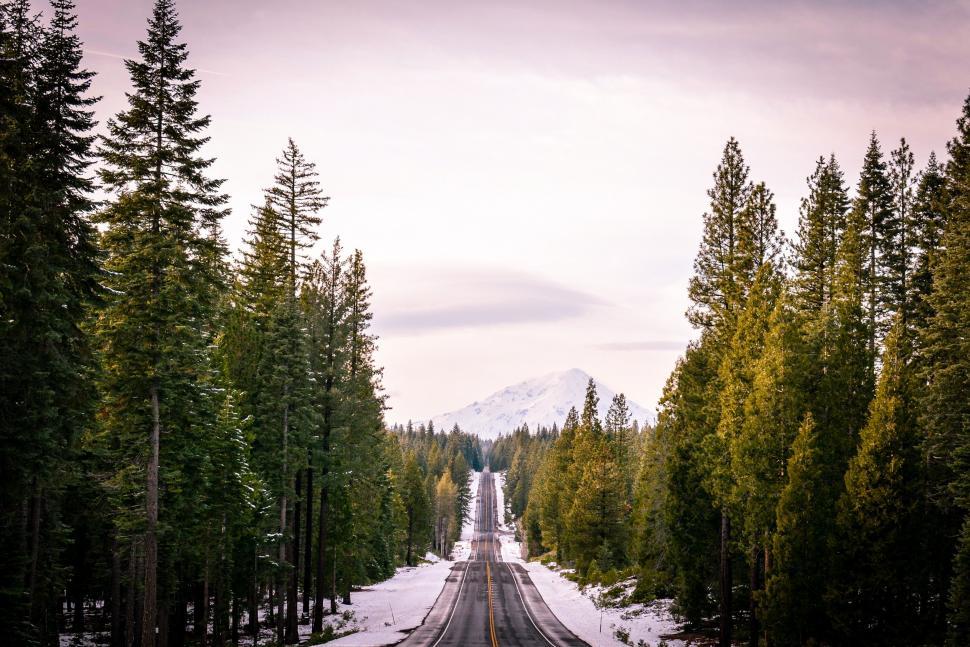Free Image of Scenic Road Through Forest With Mountain View 