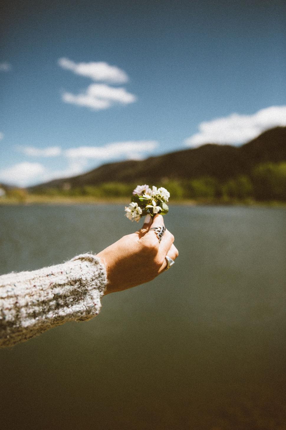 Free Image of Person Holding Flower in Hand 