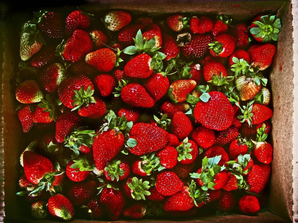 Free Image of Box Filled With Ripe Strawberries 